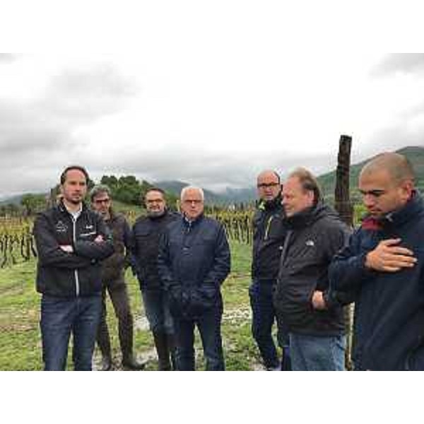 Cristiano Shaurli (Assessore regionale Risorse agricole e forestali) durante il sopralluogo a coltivazioni regionali che hanno subito danni dalle recenti gelate - 28/04/2017