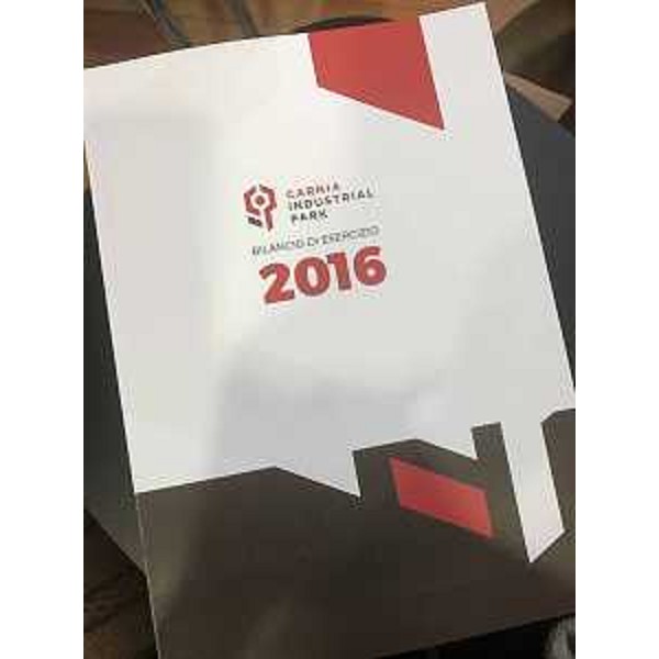 Assemblea dei soci del Carnia Industrial Park - Tolmezzo 10/05/2017