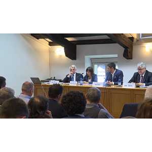 Giovanni Collino (Amministratore delegato DRIVEvolve), Debora Serracchiani (Presidente Regione Friuli Venezia Giulia), Matteo Tonon (Presidente Confindustria Udine) e Alberto Felice De Toni (Rettore Università Udine) al convegno "La flotta 4.0: risparmio, sicurezza, sostenibilità" - Udine 05/06/2017