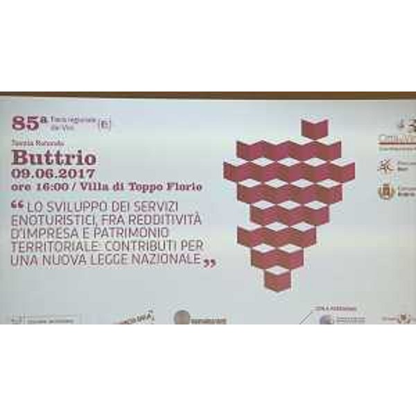Convegno "Lo sviluppo dei servizi enoturistici, fra redditività d'impresa e patrimonio territoriale: contributi per una nuova legge nazionale" - Buttrio 09/06/2017