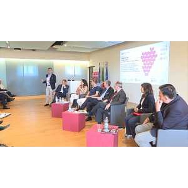 Sergio Bolzonello (Vicepresidente Regione FVG e assessore Attività produttive, Turismo e Cooperazione) al convegno "Lo sviluppo dei servizi enoturistici, fra redditività d'impresa e patrimonio territoriale: contributi per una nuova legge nazionale" - Buttrio 09/06/2017