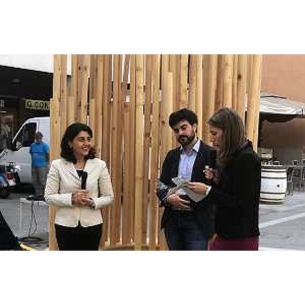 Mariagrazia Santoro (Assessore regionale Infrastrutture e Territorio) all'incontro per illustrare l'installazione Urban Hugs - Udine 09/06/2017