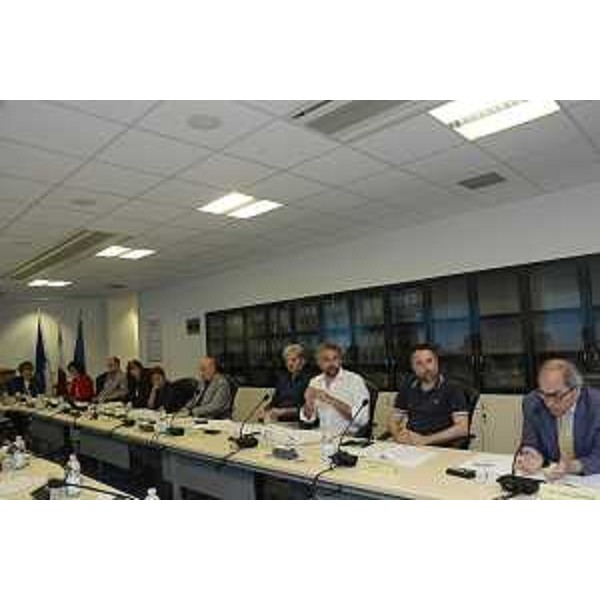 Sara Vito (Assessore regionale Ambiente ed Energia) durante la seduta del Consiglio delle autonomie locali - Udine 15/06/2017
