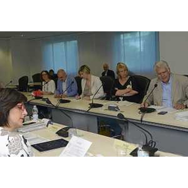 Sara Vito (Assessore regionale Ambiente ed Energia) agli incontri con le delegazioni di 12 Unioni territoriali intercomunali - Udine 20/06/2017