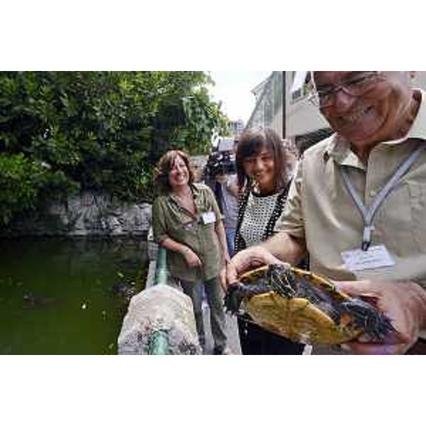 Debora Serracchiani (Presidente Regione Friuli Venezia Giulia) in visita all'Ente Nazionale Protezione Animali (ENPA) - Trieste 03/07/2017