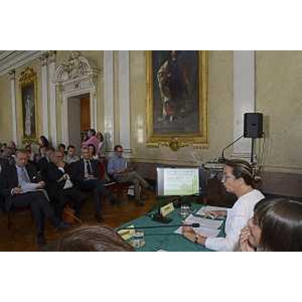 Presentazione del Rapporto annuale "Cina 2017. Scenari e prospettive per le imprese" - Trieste 17/07/2017