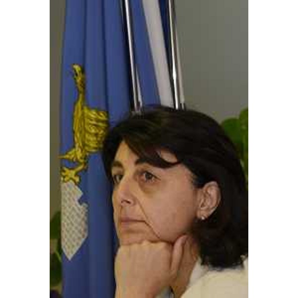 Mariagrazia Santoro (Assessore regionale Infrastrutture e Territorio) all'incontro con i sindaci dei Comuni di Forni Avoltri, Comeglians, Prato Carnico, Ovaro e Rigolato - Udine 28/07/2017