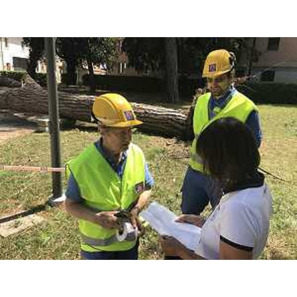 Debora Serracchiani (Presidente Regione Friuli Venezia Giulia) durante il sopralluogo nelle zone colpite dal maltempo (Parco della Rimembranza) - Udine 11/08/2017