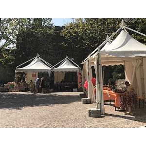 La manifestazione "Il Borgo dei Borghi" - Venzone 27/08/2017