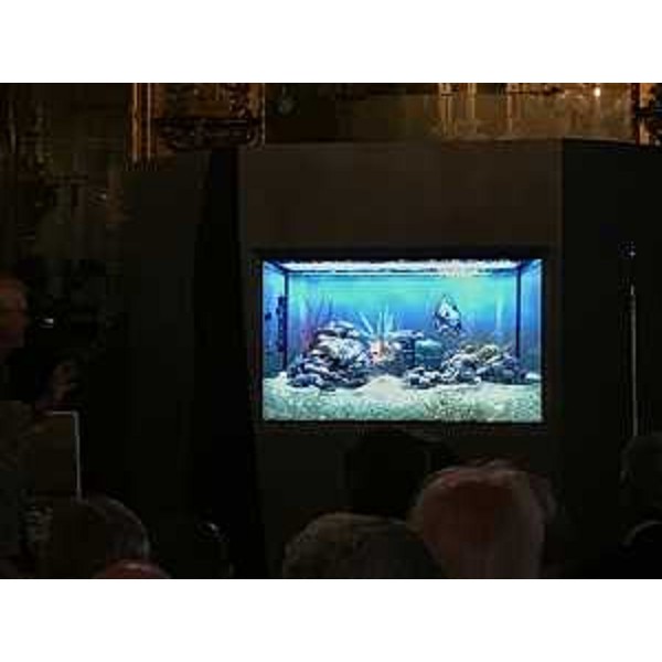 Presentazione di "100 milioni di anni fa: il mare del Carso" - Trieste 30/08/2017