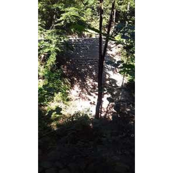 Pista ciclabile Alpe Adria in località Coccau: versante ripristinato - Tarvisio