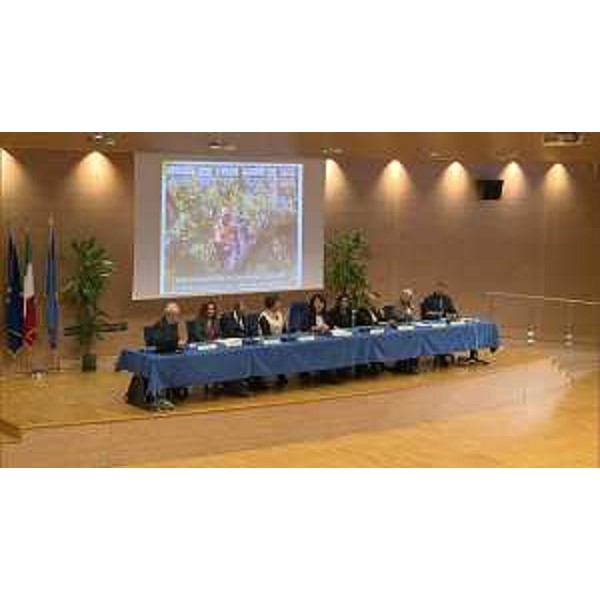 Mariagrazia Santoro (Assessore regionale Infrastrutture e Territorio) interviene al convegno dedicato a cura e salvaguardia degli alberi monumentali - Udine 28/10/2017