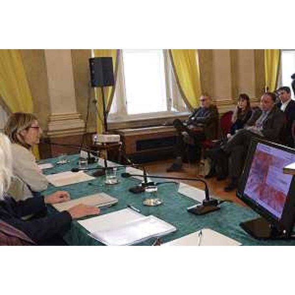 Maria Sandra Telesca (Assessore regionale Salute, Integrazione socio-sanitaria, Politiche sociali e Famiglia) durante il workshop sulla qualità delle cure del diabete in regione - Trieste 14/11/201