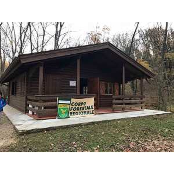 Festa dell'Albero organizzata dal Corpo Forestale Regionale (CFR) - Bosco Romagno 21/11/2017
