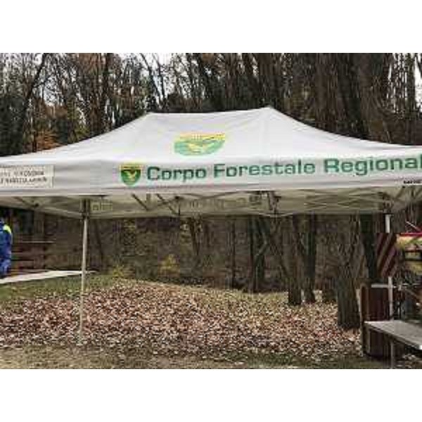 Festa dell'Albero organizzata dal Corpo Forestale Regionale (CFR) - Bosco Romagno 21/11/2017