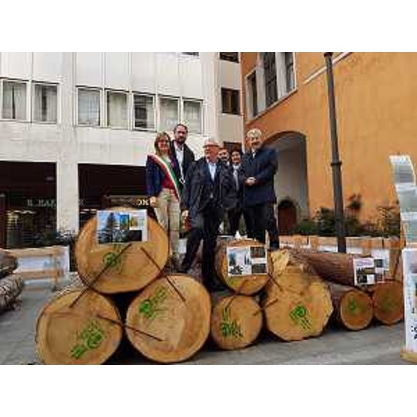 Cristiano Shaurli (Assessore regionale Risorse agricole e forestali) con Valentina De Luca (Assessore Comune Ampezzo), Emilio Gottardo (Presidente Legno servizi), Cristina DOrlando (Presidente PEFC Italia) e Furio Honsell (Sindaco Udine) alla presentazione dell'installazione con 12 alberi di essenze pregiate provenienti dalla foresta di Ampezzo, in piazza del Lionello - Udine 24/11/2017