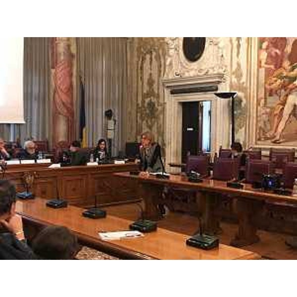 Maria Sandra Telesca (Assessore regionale Salute, Integrazione socio-sanitaria, Politiche sociali e Famiglia) interviene alla presentazione della guida "Udine: una città a portata di tutti" - Udine 05/12/2017