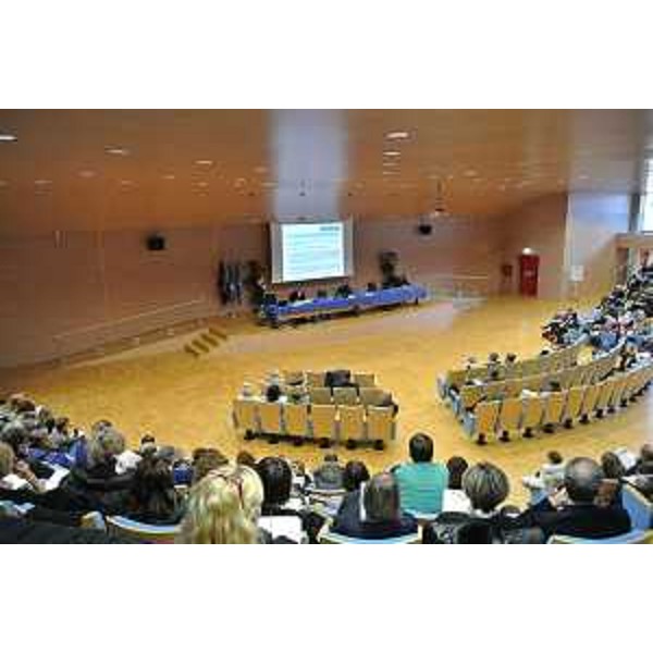 Giornata regionale della sicurezza e della qualità delle cure 2017 - Udine 05/12/2017