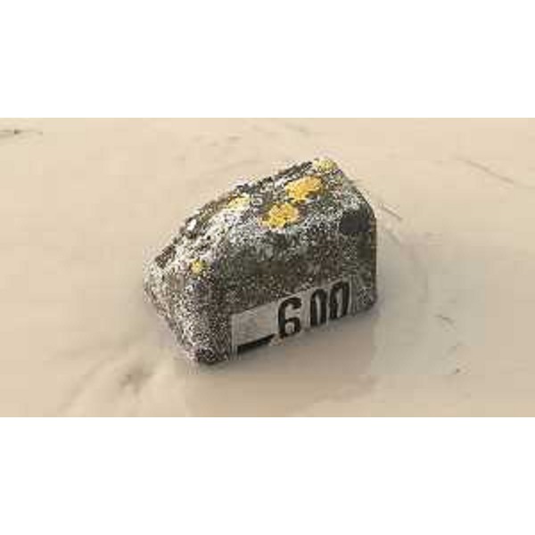 Il fiume Tagliamento - Latisana 12/12/2017