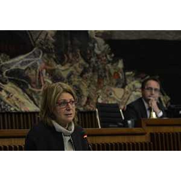 Maria Sandra Telesca (Assessore regionale Salute, Integrazione socio-sanitaria, Politiche sociali e Famiglia) nell'aula del Consiglio regionale - Trieste 20/12/2017