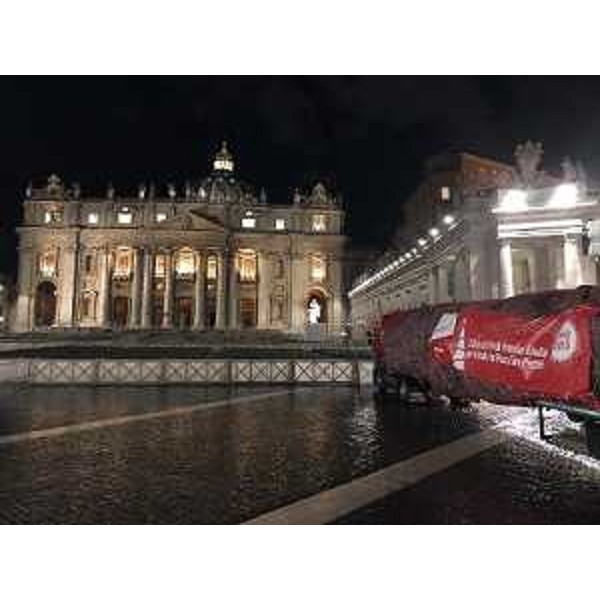 L'arrivo in piazza San Pietro dell'abete del Cansiglio destinato al Santo Padre