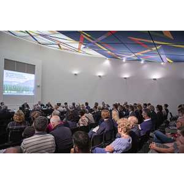L'assessore regionale alle Risorse agroalimentari, forestali e ittiche, Stefano Zannier, interviene, al Centro ricerche Fantoni di Osoppo, al convegno "Pioppicoltura italiana: situazione attuale e prospettive"