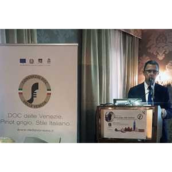L'assessore alle Risorse agroalimentari del Friuli Venezia Giulia, Stefano Zannier, partecipa a Venezia ai lavori del convegno internazionale "I valori del Pinot grigio, Stile italiano"