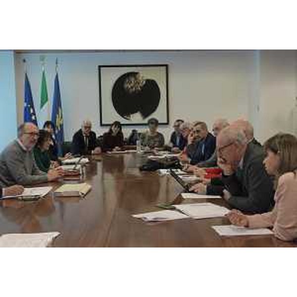 Il vicegovernatore della Regione FVG, Riccardo Riccardi, all'incontro con i direttori dei distretti sanitari