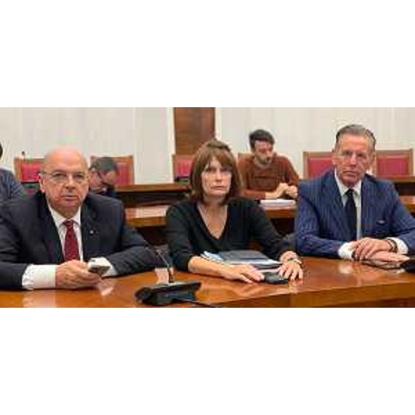 L'assessore al Lavoro del Friuli Venezia Giulia, Alessia Rosolen, interviene al tavolo sulla Ferriera di Servola (Trieste), convocato a Roma dal ministro per lo Sviluppo Economico, Stefano Patuanelli. Presente, tra gli altri, anche l'assessore regionale alla Difesa dell'ambiente e Sviluppo Sostenibile, Fabio Scoccimarro