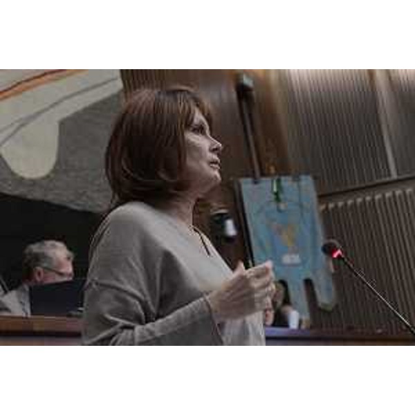 L'assessore Fvg a Famiglia, Lavoro, Isruzione, Formazione, Università e Ricerca, Alessia Rosolen, durante l'intervento in Aula. (Foto ARC)