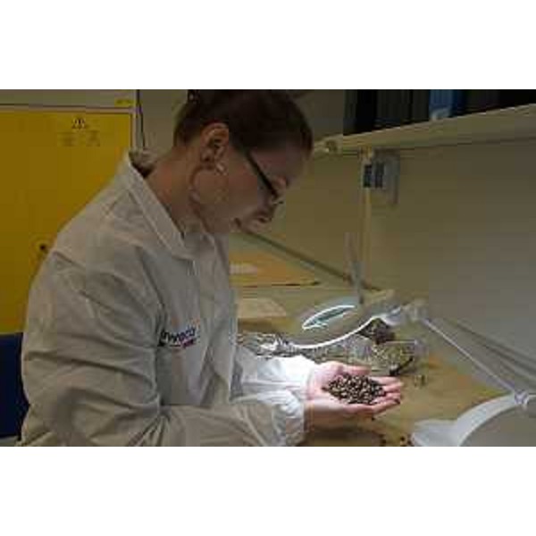 L'attività di laboratorio della New Eco. (Foto ARC Montenero)