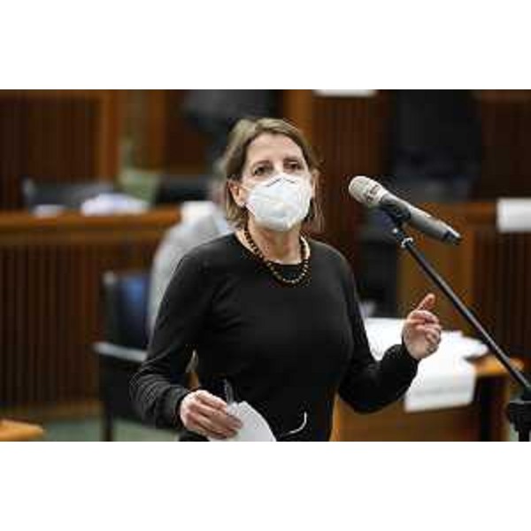 La consigliera regionale Chiara Da Giau (Pd) - La consigliera regionale Chiara Da Giau (Pd)