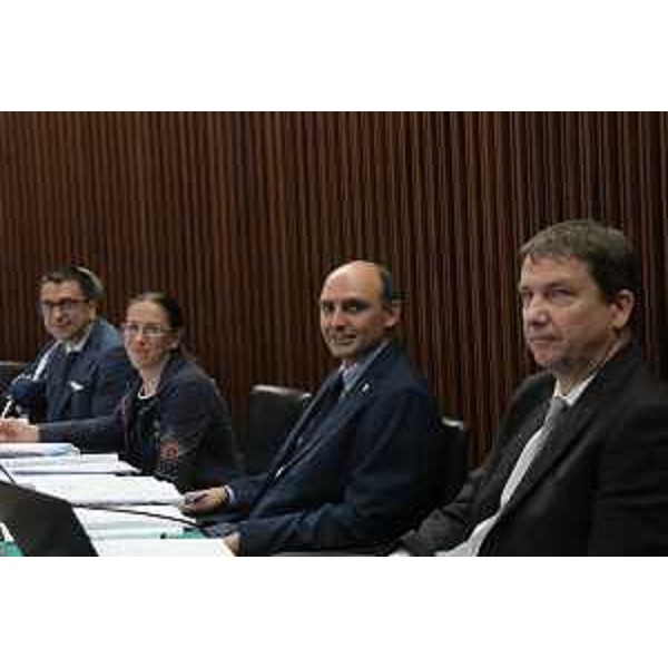 Il Gruppo M5S in Cr Fvg - Il Gruppo M5S in Cr Fvg