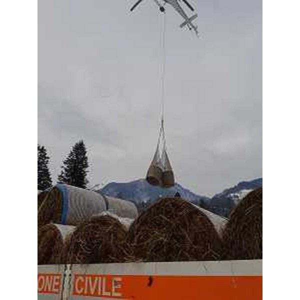 La consegna degli alimenti per gli animali in difficoltà a causa delle forti nevicate. - La consegna degli alimenti per gli animali in difficoltà a causa delle forti nevicate.