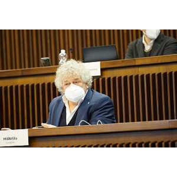 Elia Miani (Lega) - Elia Miani (Lega)