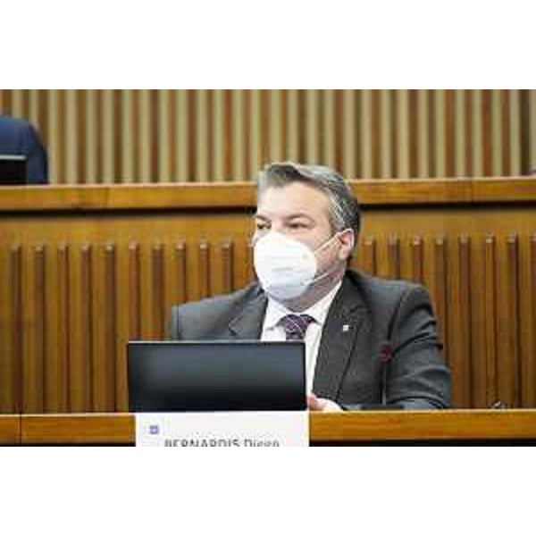 Diego Bernardis (Lega) - Diego Bernardis (Lega)