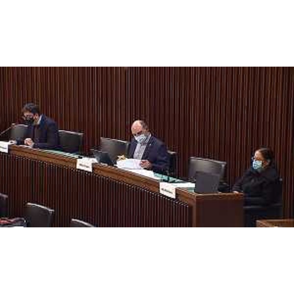 Capozzella, Sergo, Dal Zovo (M5S) - Capozzella, Sergo, Dal Zovo (M5S)