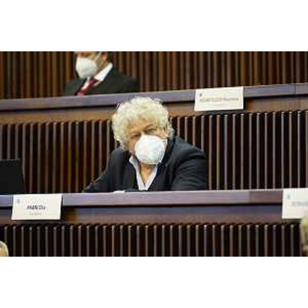 Elia Miani (Lega) - Elia Miani (Lega)