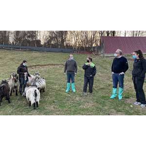 Emanuele Zanon (Regione Futura) a destra, con le titolari di Friul Cashmere - Emanuele Zanon (Regione Futura) a destra, con le titolari di Friul Cashmere