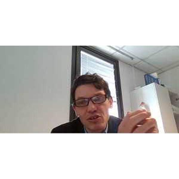 Nicola Conficoni (Pd) in videoconferenza - Nicola Conficoni (Pd) in videoconferenza