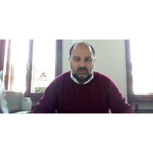 Diego Moretti (Pd) in videoconferenza - Diego Moretti (Pd) in videoconferenza