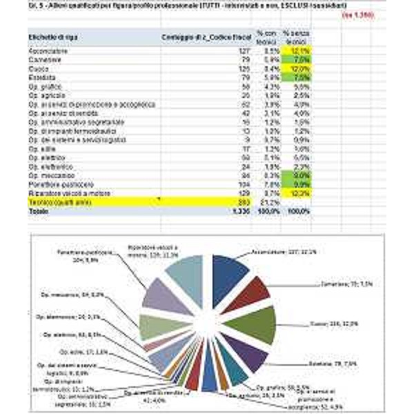 Grafico allievi qualificati per figura/profilo professionale - Grafico allievi qualificati per figura/profilo professionale