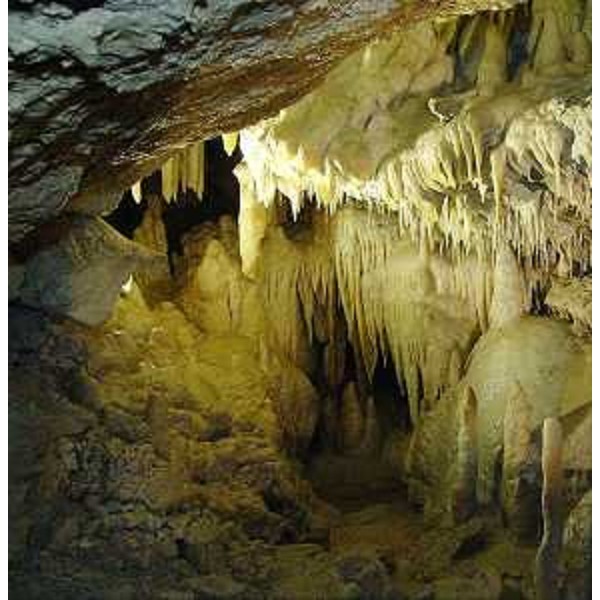 La Grotta di Villanova nel Comune di Lusevera. - Riccardo Illy (Presidente Regione Friuli Venezia Giulia) visita la Grotta Nuova di Villanova in Comune di Lusevera. (Lusevera 24/08/07)