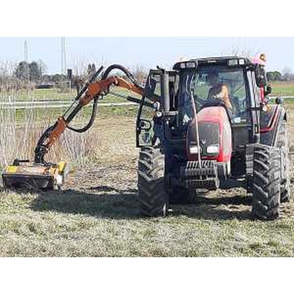 Operaio forestale regionale in azione su una lunetta di Palmanova - Operaio forestale regionale in azione su una lunetta di Palmanova