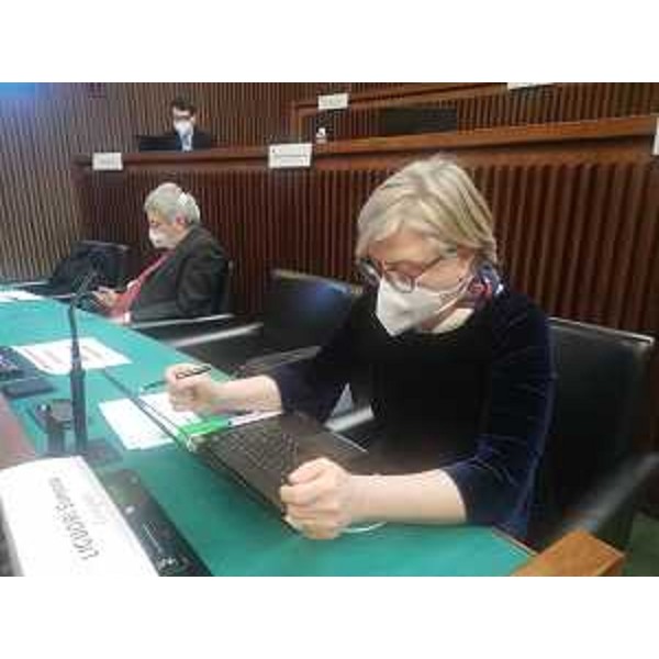 Simona Liguori (Cittadini) - Simona Liguori (Cittadini)