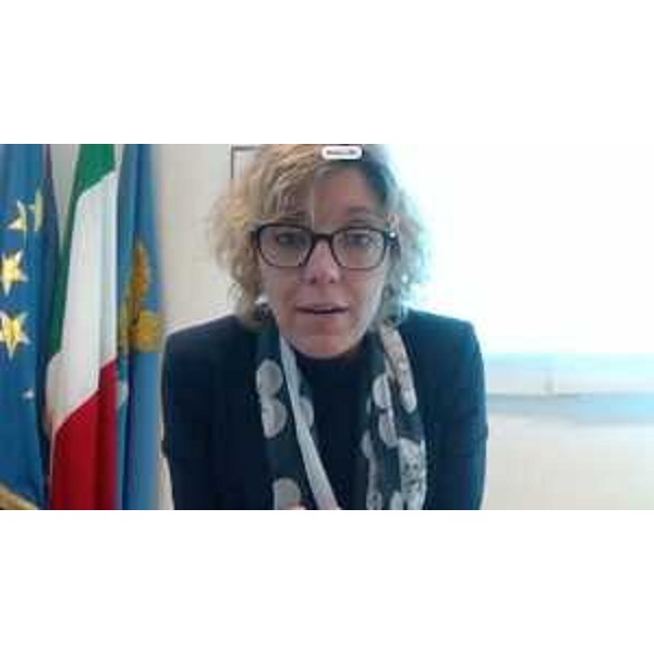 L'assessore regionale alle Finanze, Barbara Zilli, collegata on line - L'assessore regionale alle Finanze, Barbara Zilli, collegata on line