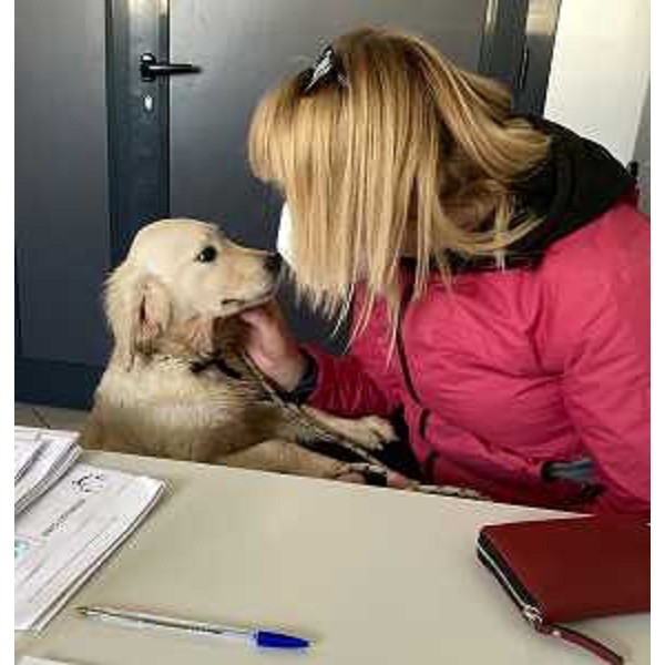 Uno dei cuccioli dati in affido - Uno dei cuccioli dati in affido