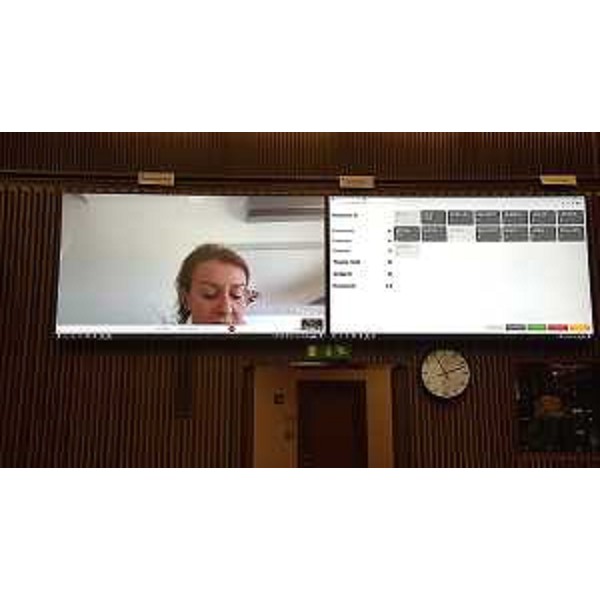 Mara Piccin (FI) durante il suo intervento da remoto - Mara Piccin (FI) durante il suo intervento da remoto