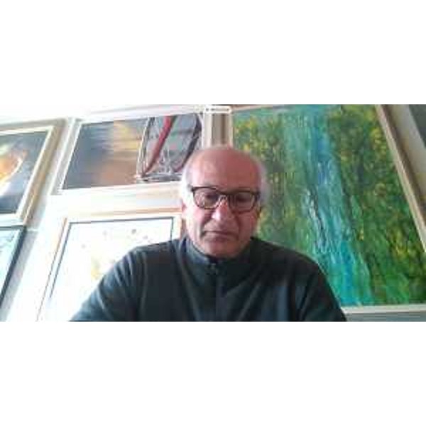 Alfoso Singh (Lega) in videoconferenza - Alfoso Singh (Lega) in videoconferenza