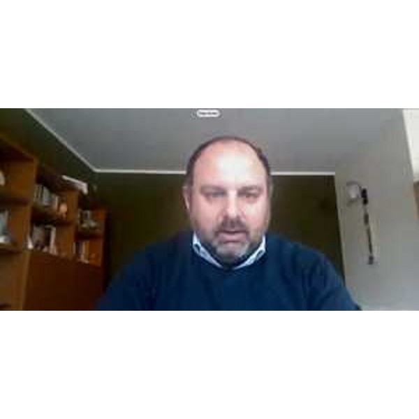 Diego Moretti (Pd) in videconferenza - Diego Moretti (Pd) in videconferenza